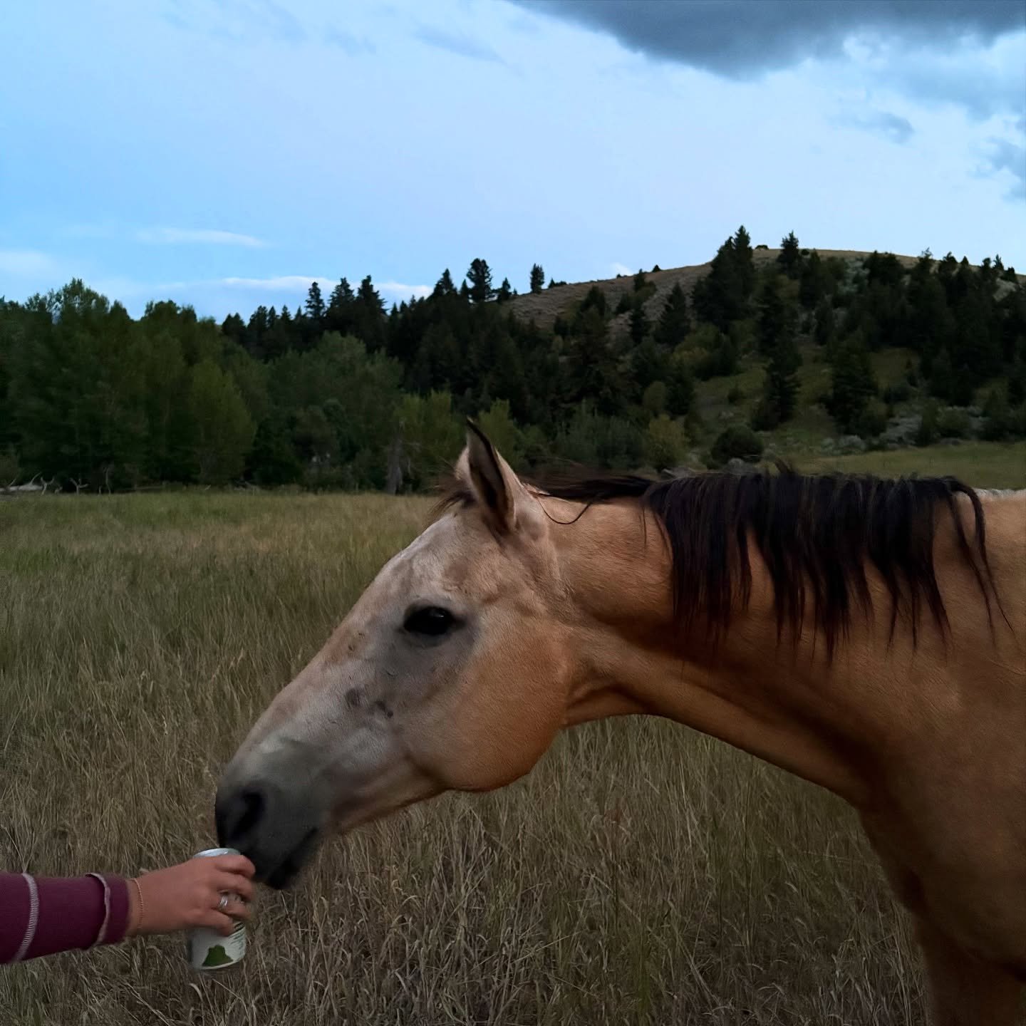 showing some love to the retirees too 🥰