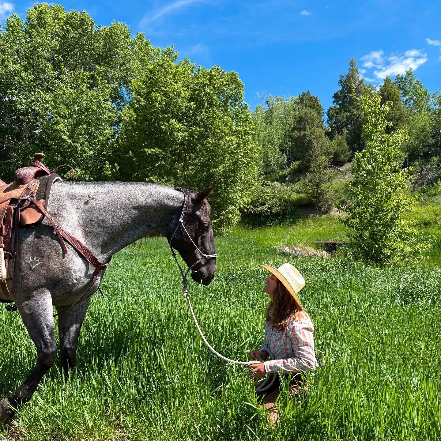 first few horsing around Montana