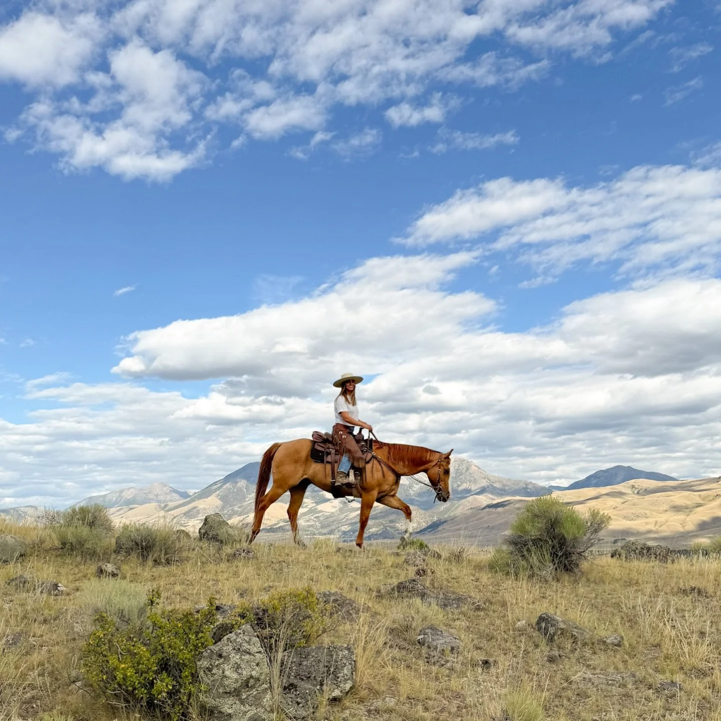 a couple more Montana pictures to ring in the new year❣️
