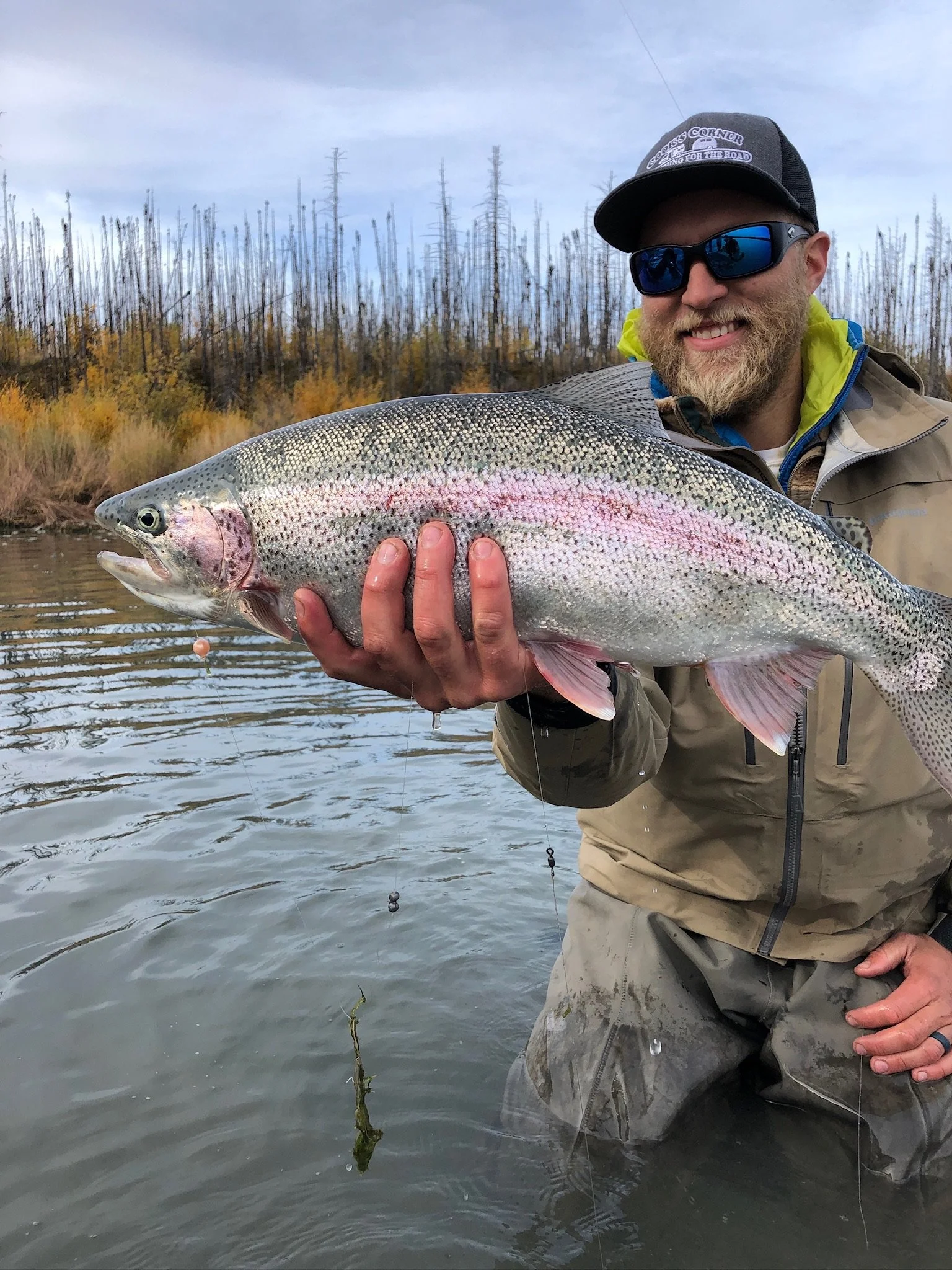 A man wearing sunglasses, a baseball cap, and outdoor gear standing in a river, holding a large rainbow trout with a colorful pink stripe, gray back, and speckled sides.