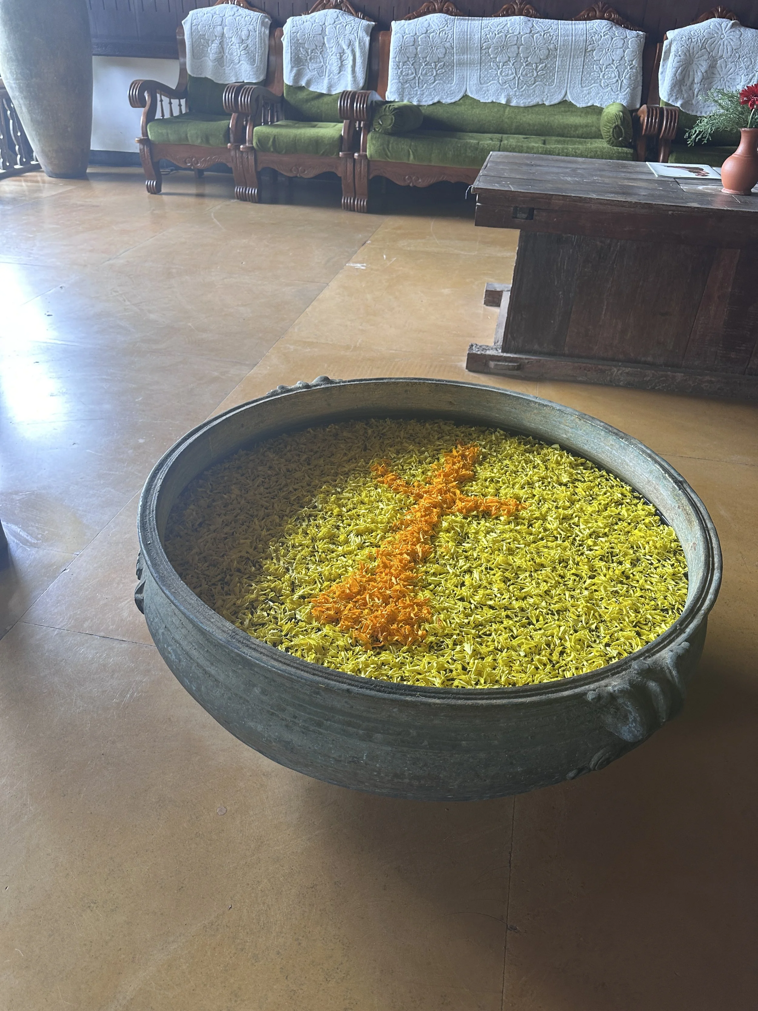 Sharon Beaumont - kerala-india-ayurvedic-retreat.JPG