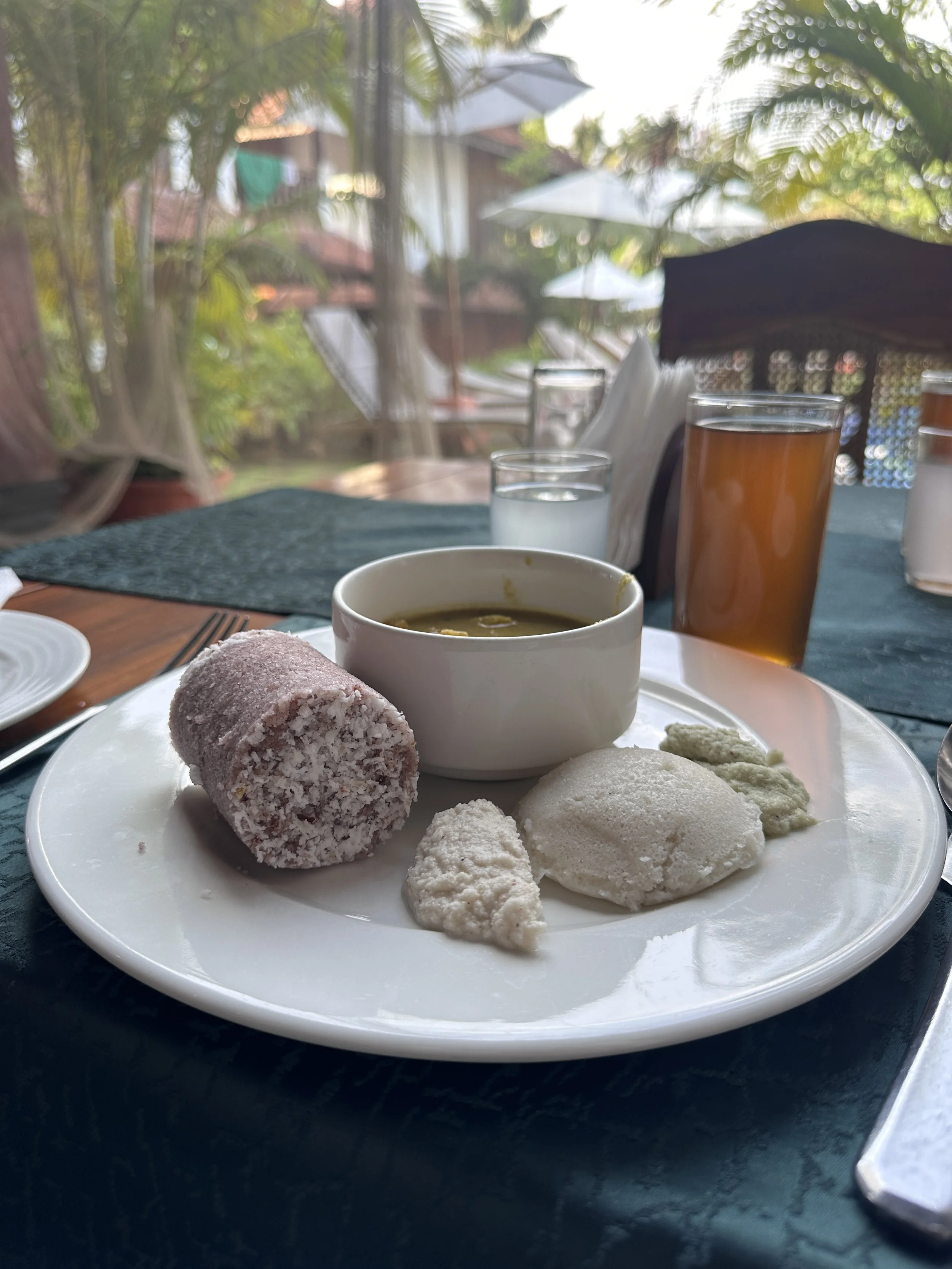 Sharon Beaumont - kerala-india-ayurvedic-retreat.JPG