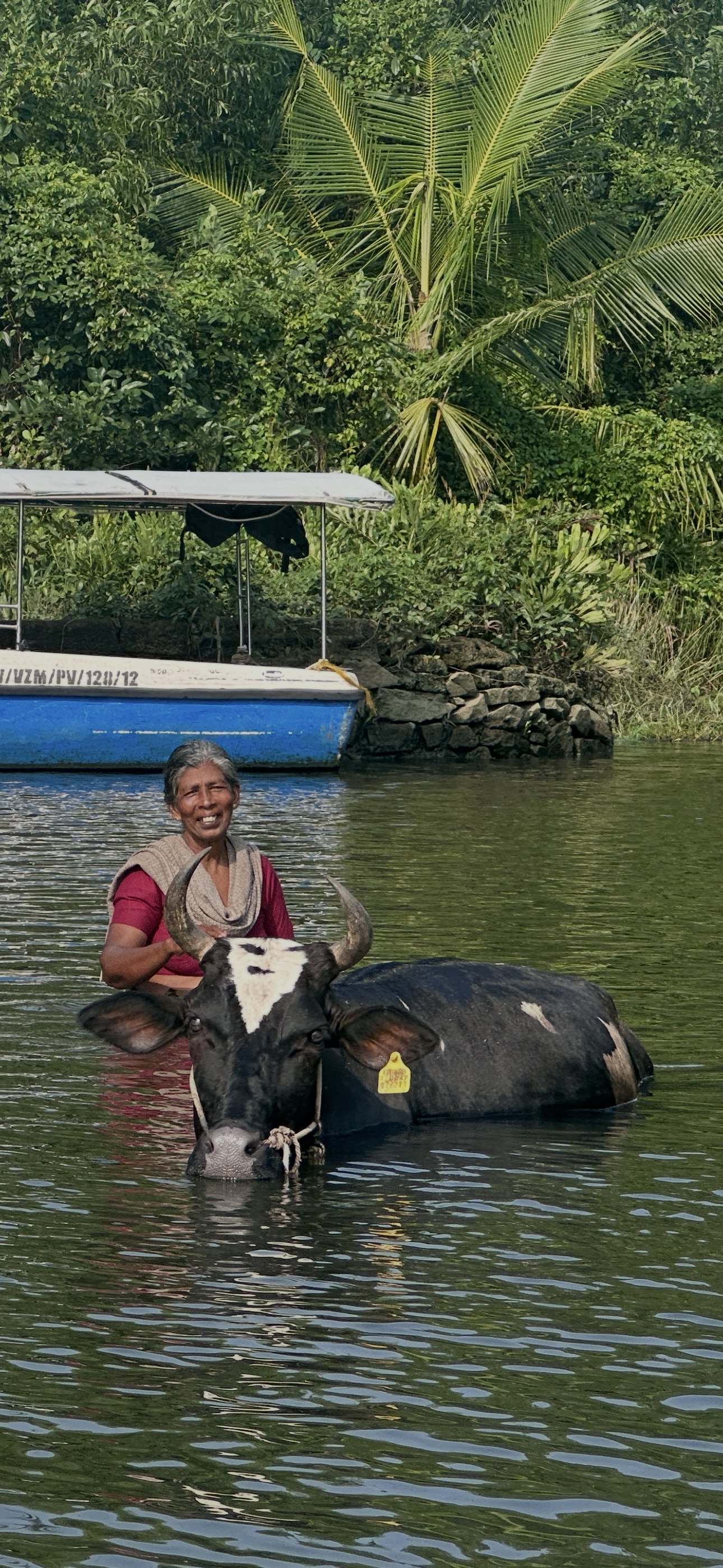Sharon Beaumont - backwaters-kerala.PNG