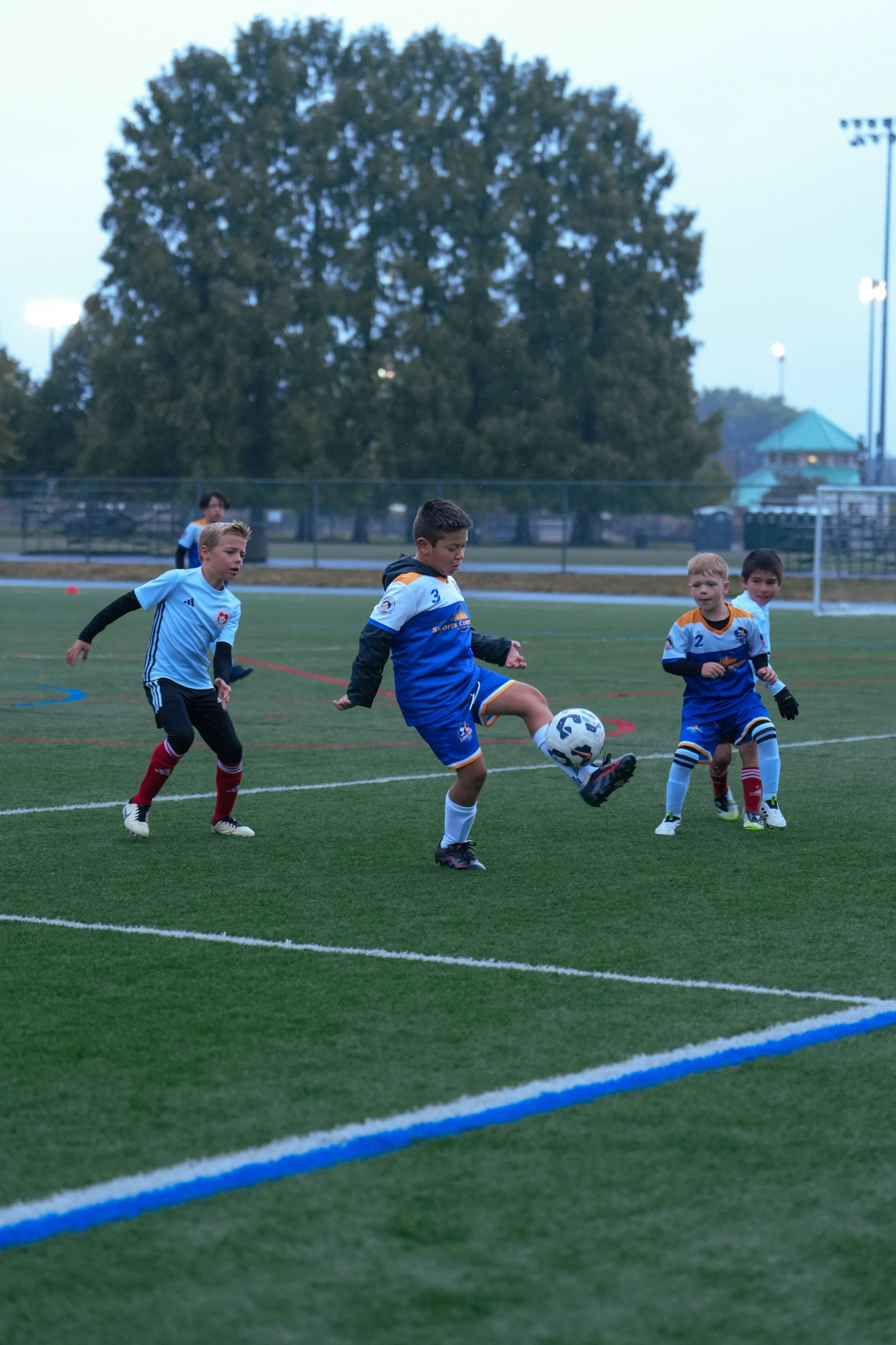 Young boys playing soccer on a field during evening, with a large tree in the background.