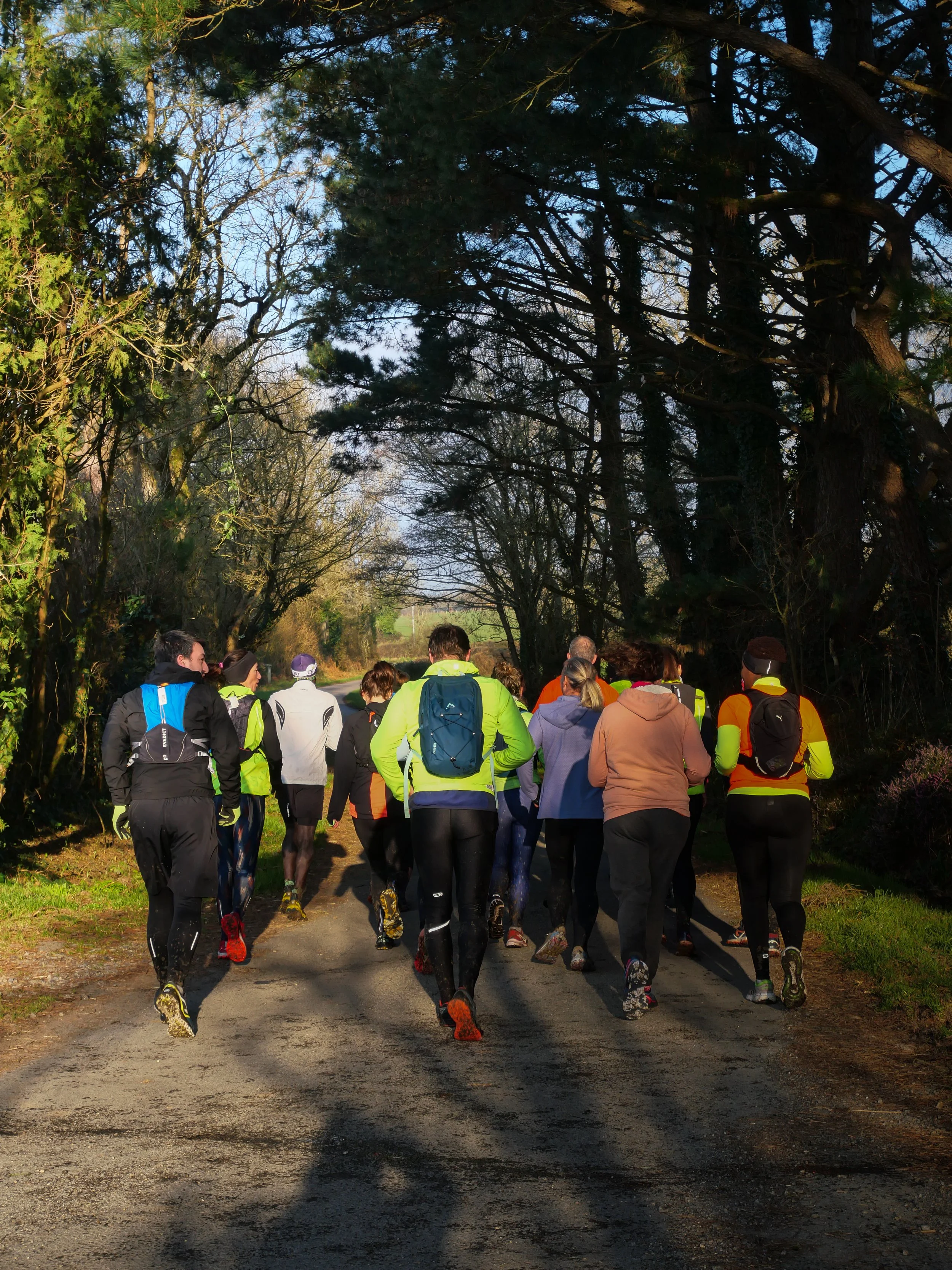 Groupe de personnes faisant de la marche ou de la course sur un chemin forestier en plein air, vêtues de vêtements de sport colorés.