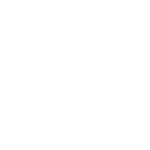 Arquitectura y origen del modelo operativo de Black Turtle