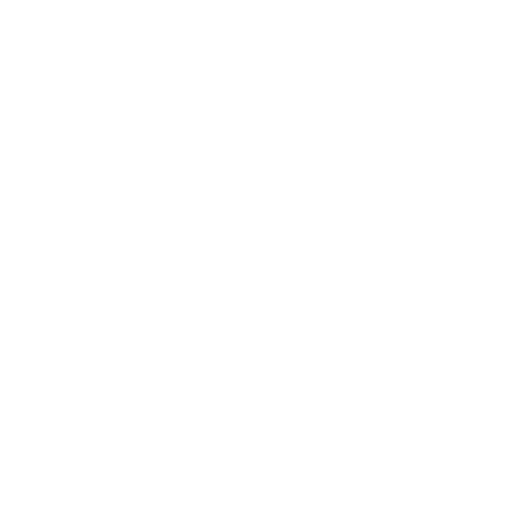 Estructura técnica y capacidades especializadas del equipo