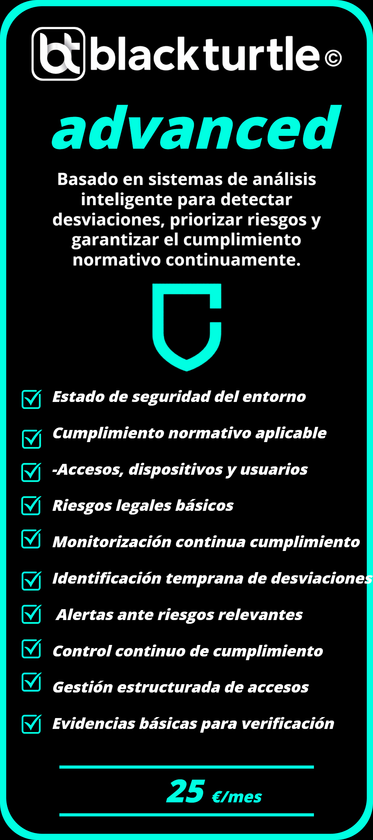 Control técnico y organizativo de la seguridad