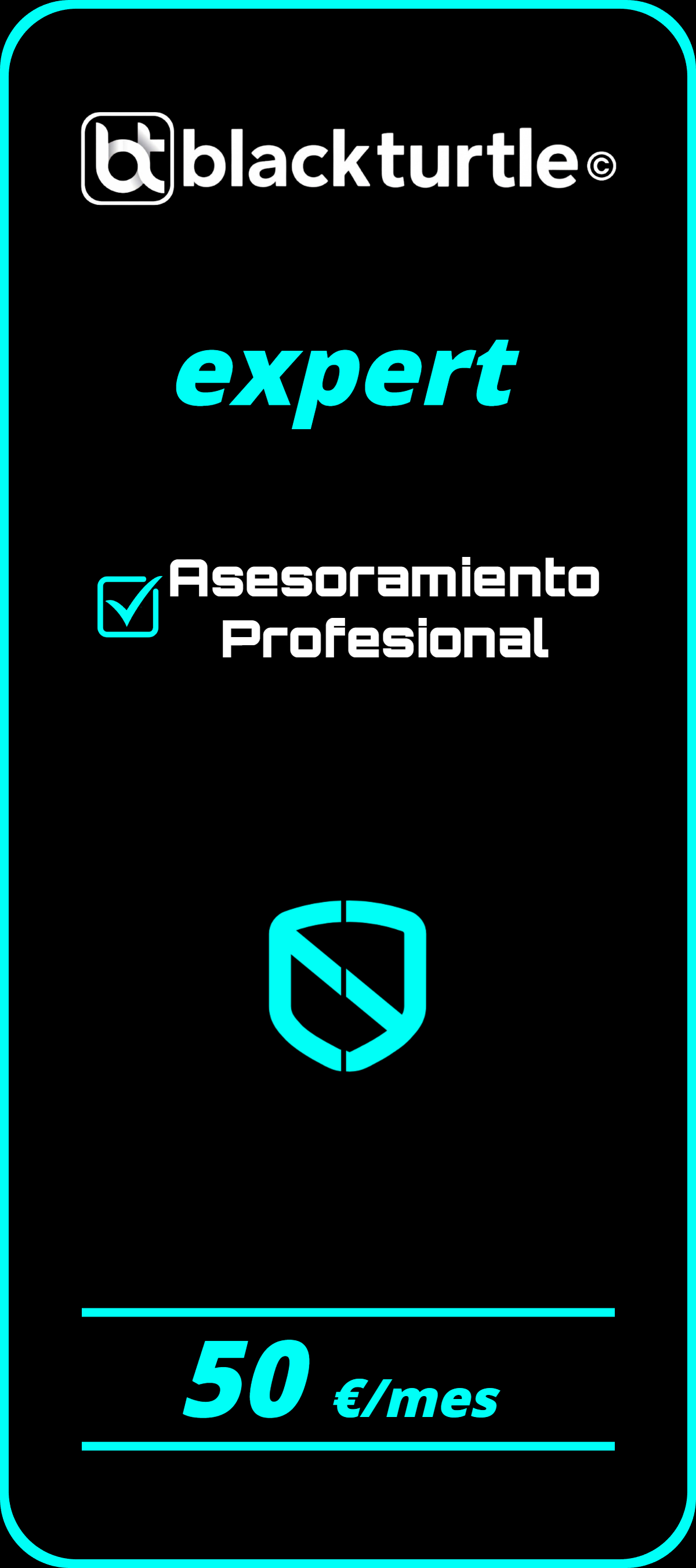 servicio de asesoramiento experto en ciberseguridad