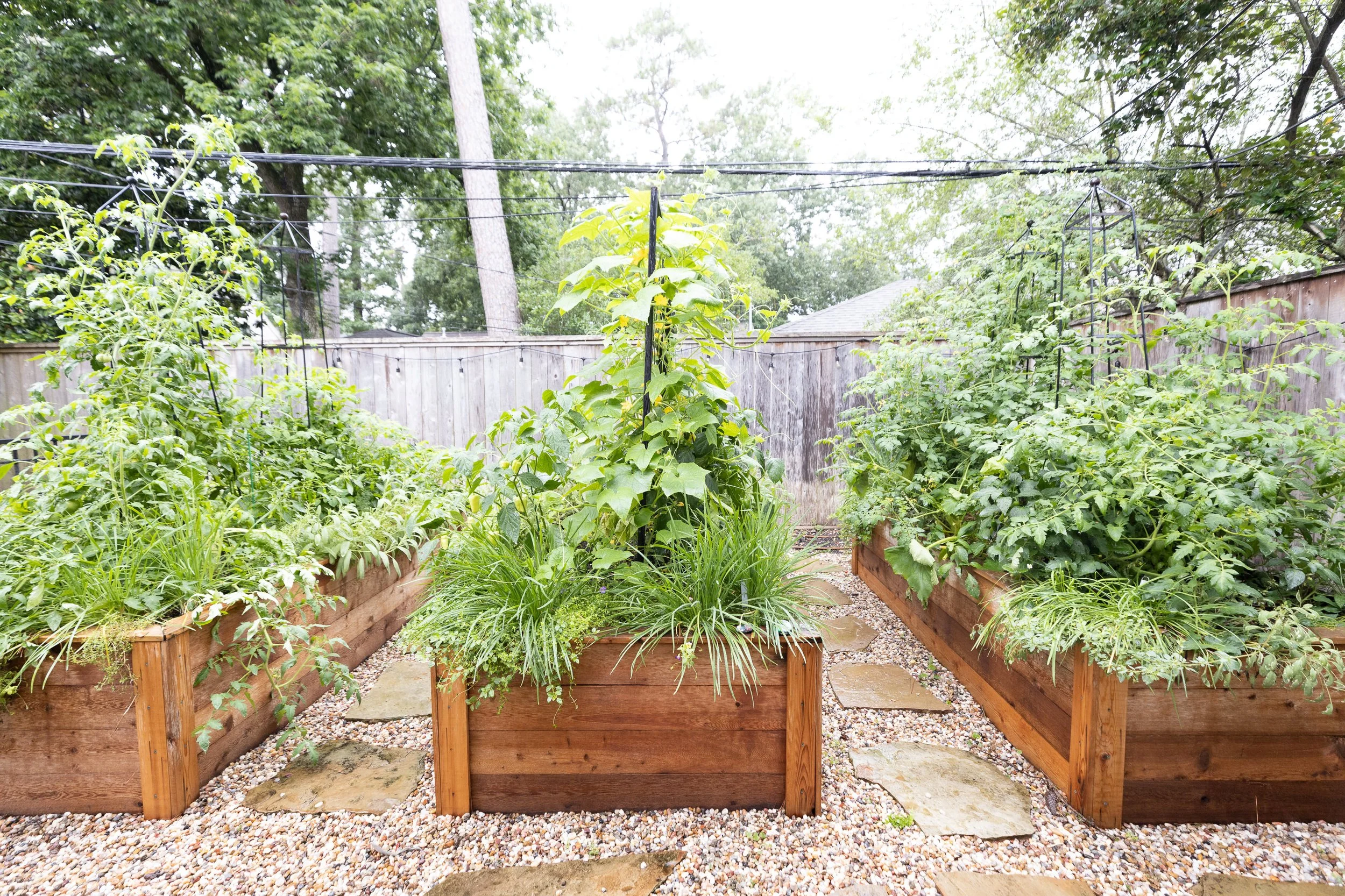 Garden Trio Cedar Panel Trellis and Obelisk.jpg