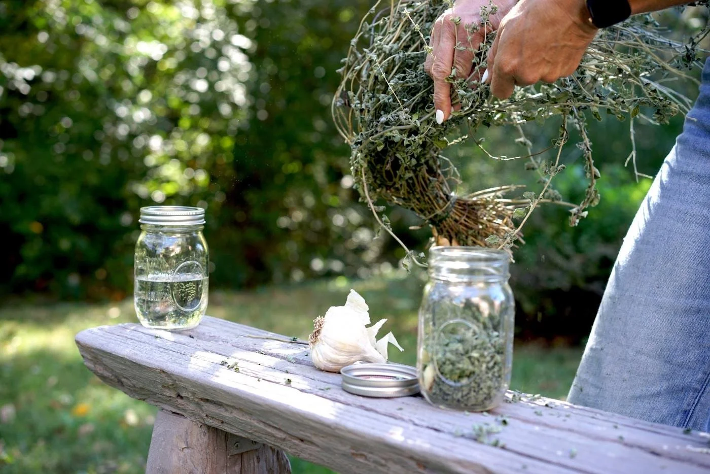 Oregano + Garlic Tincture Making Photo.jpeg
