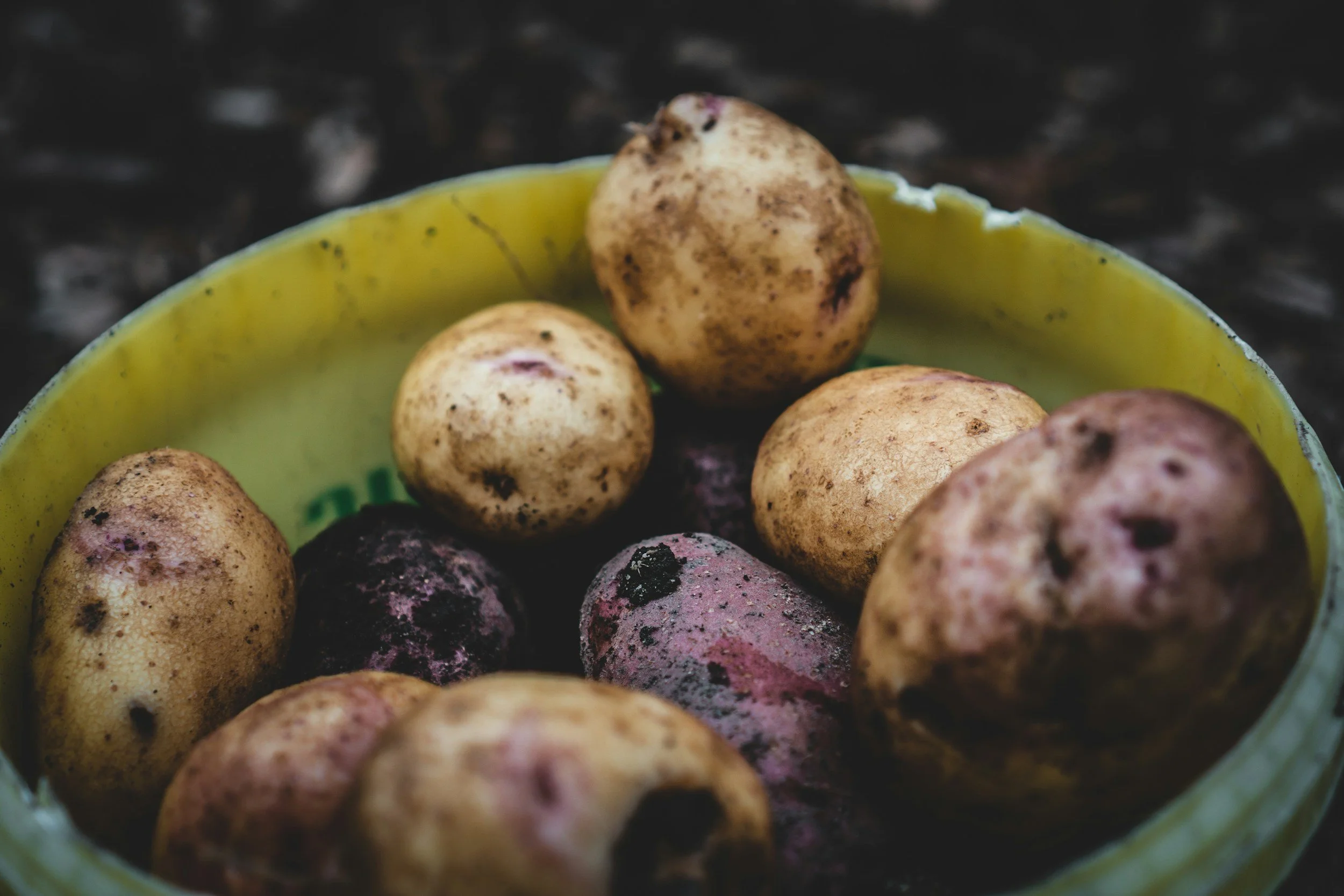 unsplash-image-6E-OmU631lI.jpg