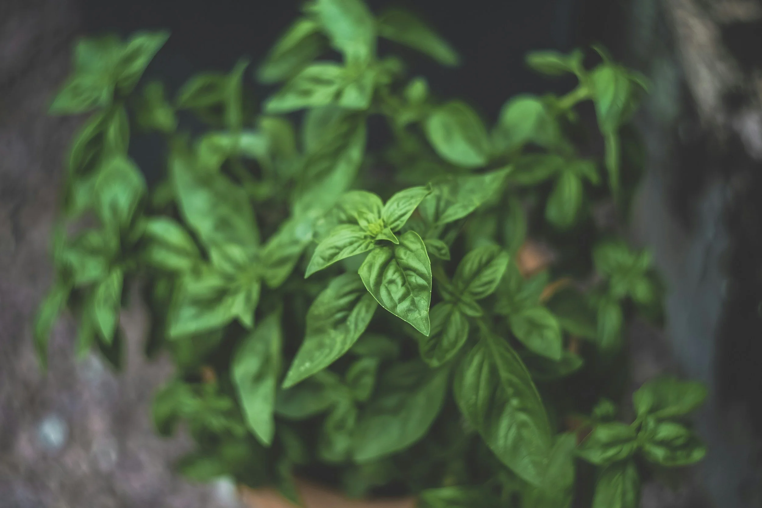 unsplash-image-ngP0x8HuPVM.jpg