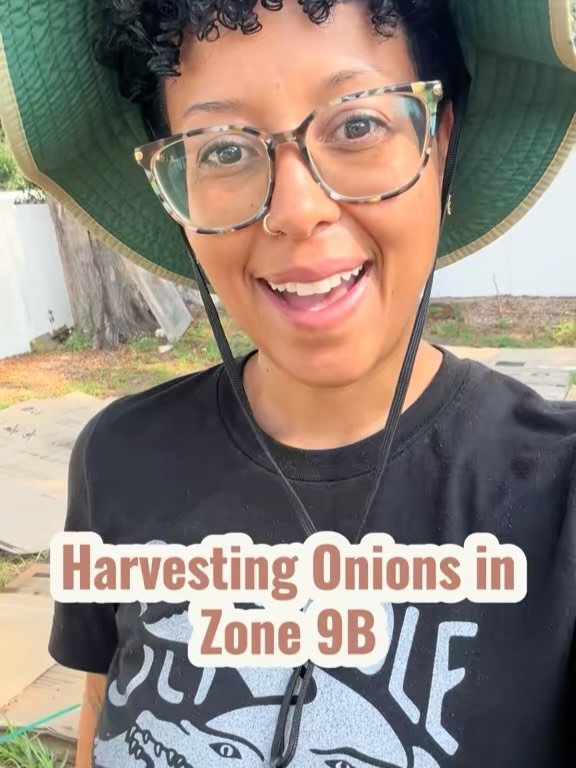 Six months later&hellip; onion harvest day 🧅✨

Today I harvested the first batch of our Texas 1015 &amp; Red Grano short-day onions that we planted back in late October and early November. One of the most rewarding parts of growing food is learning 