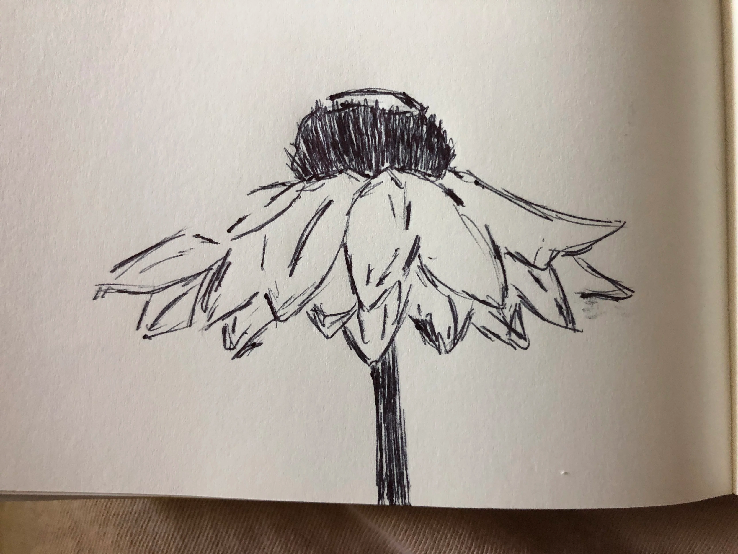 IMG_6739.png