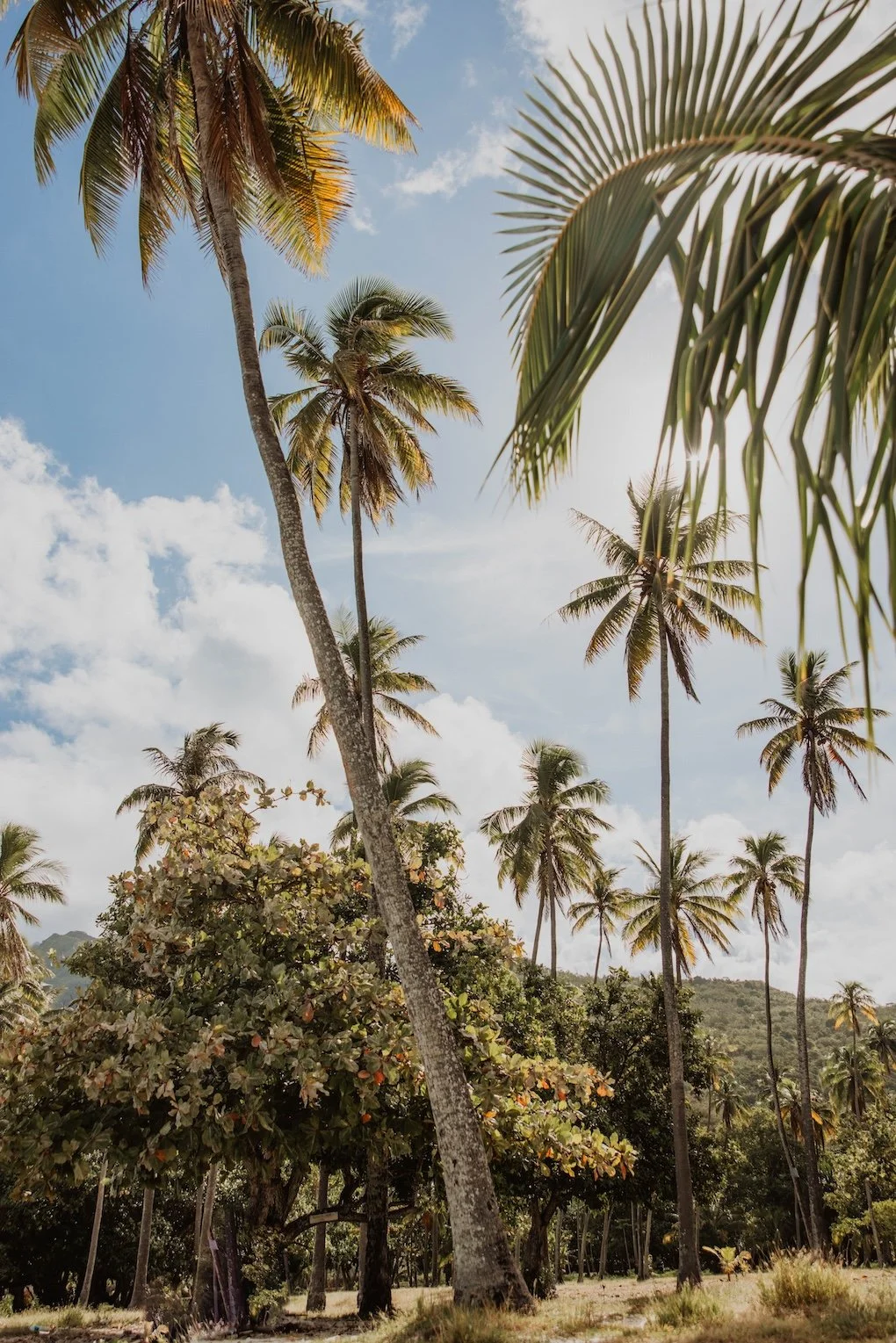 Get clear, default to action, and finally become the version of you who creates big results.