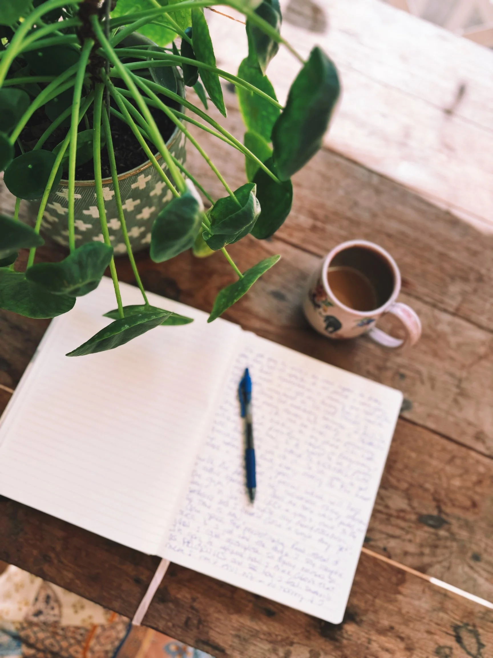 Behind the scenes of Meg Bradyhouse life.