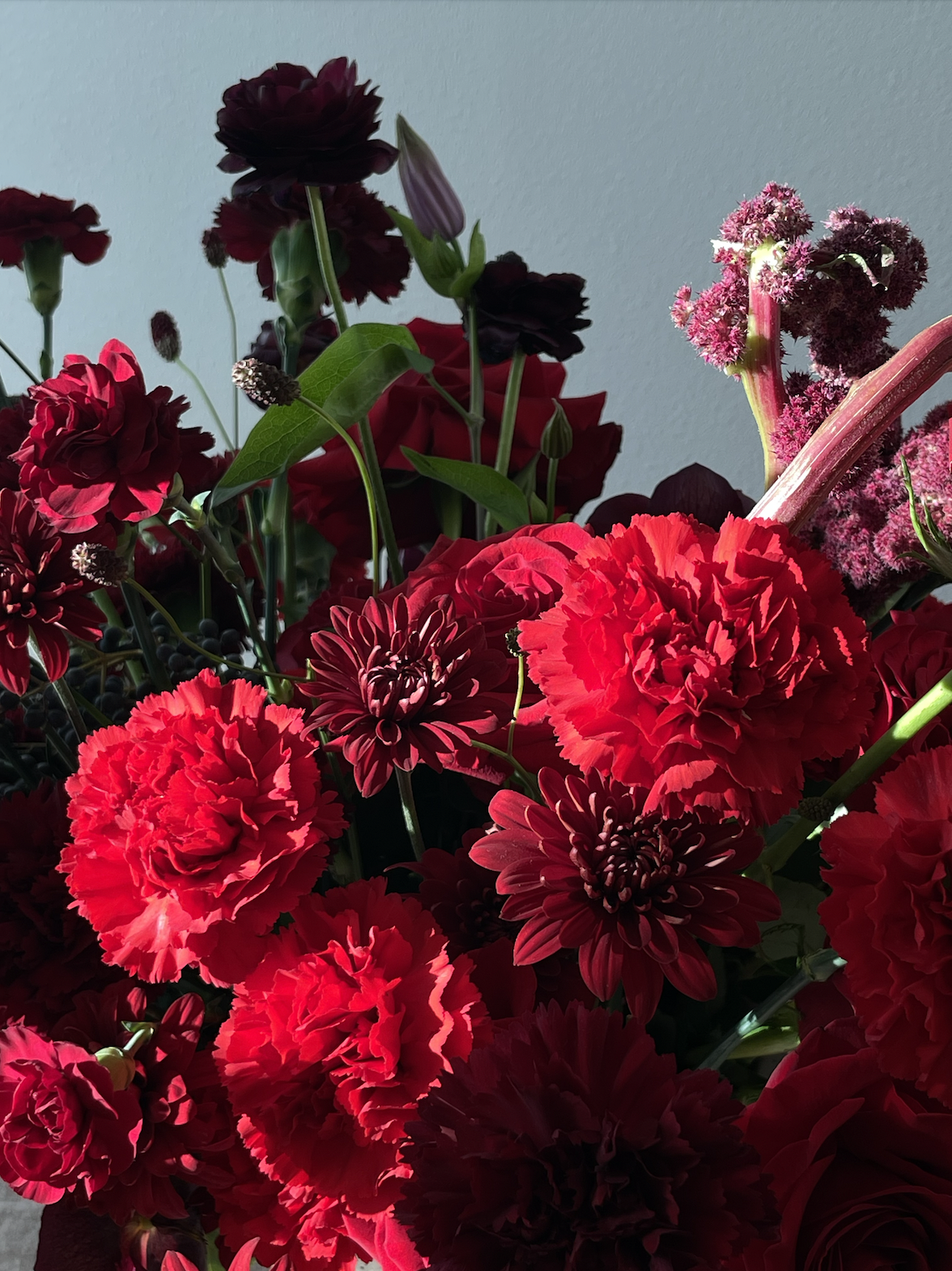 Screen Shot 2026-01-13 at 10.22.04 PM.png