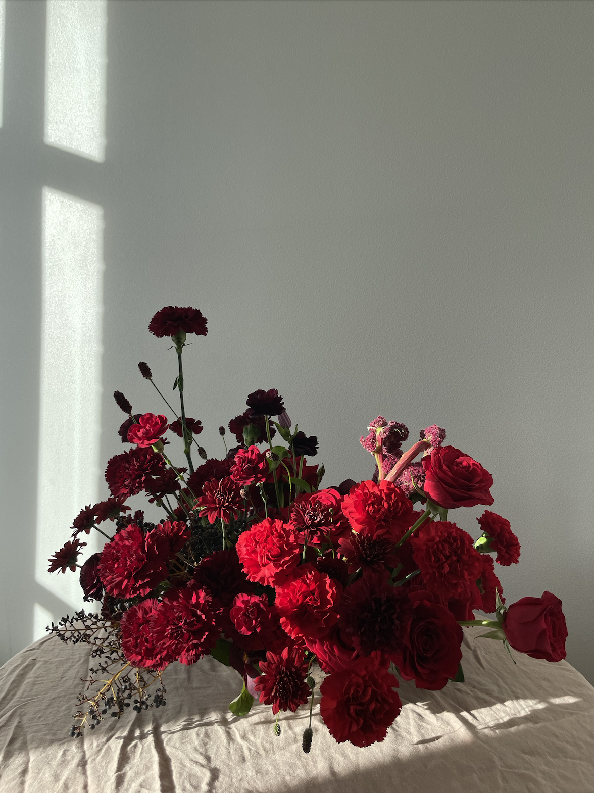 Screen Shot 2026-01-13 at 10.24.30 PM.png