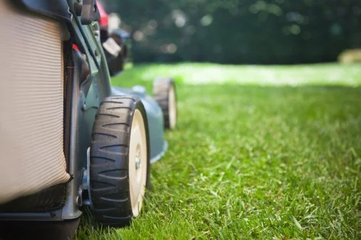 Six Steps to Prepare Your Lawn for Spring