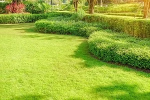 How to Maintain High-Traffic Grass