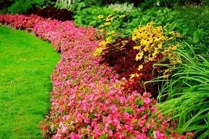 What to Do in Summer to Have Your Lawn and Garden Ready for Fall