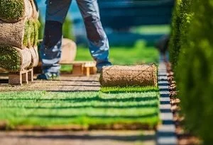 Tips for Watering a New Lawn: Seed or Sod