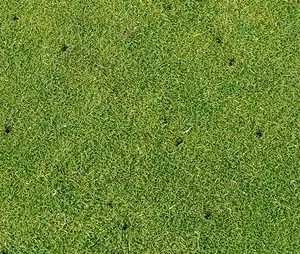Why Core Aeration is the Best Lawn Aeration Option