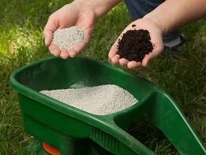 Having the Right Lawn Fertilizer for the Season
