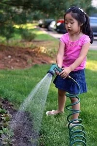 Easy Summer Watering: By Hand, Sprinklers, and Drip Feeds