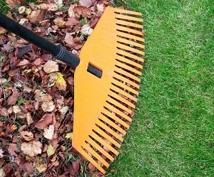 7 Steps to Ready the Lawn and Garden for Winter