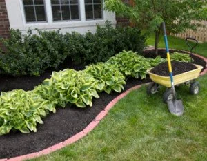 Buying Landscape Supplies from Another Contractor