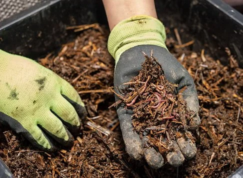 Landscaping Mulches: The Basics