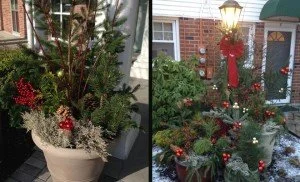 Christmas Light Ideas