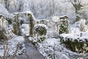 Winter is Coming: How to Prepare Your Garden for Winter