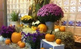 What Are Seasonal Displays?
