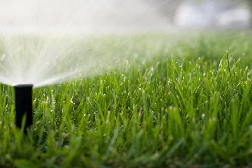 Using and Establishing a Sprinkler Watering Schedule