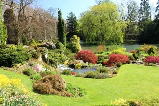 Backyard Landscape Ideas