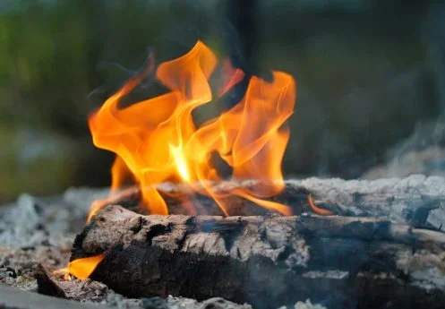 Fire Pit Landscaping Ideas for Your Backyard