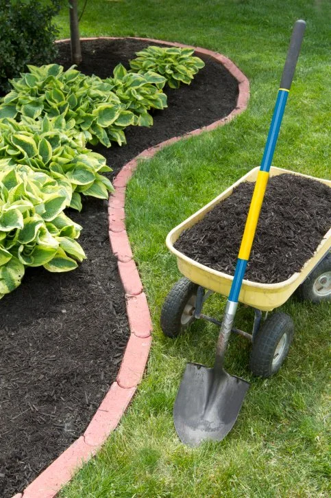 Choosing the Best Type of Mulch for Your Yard