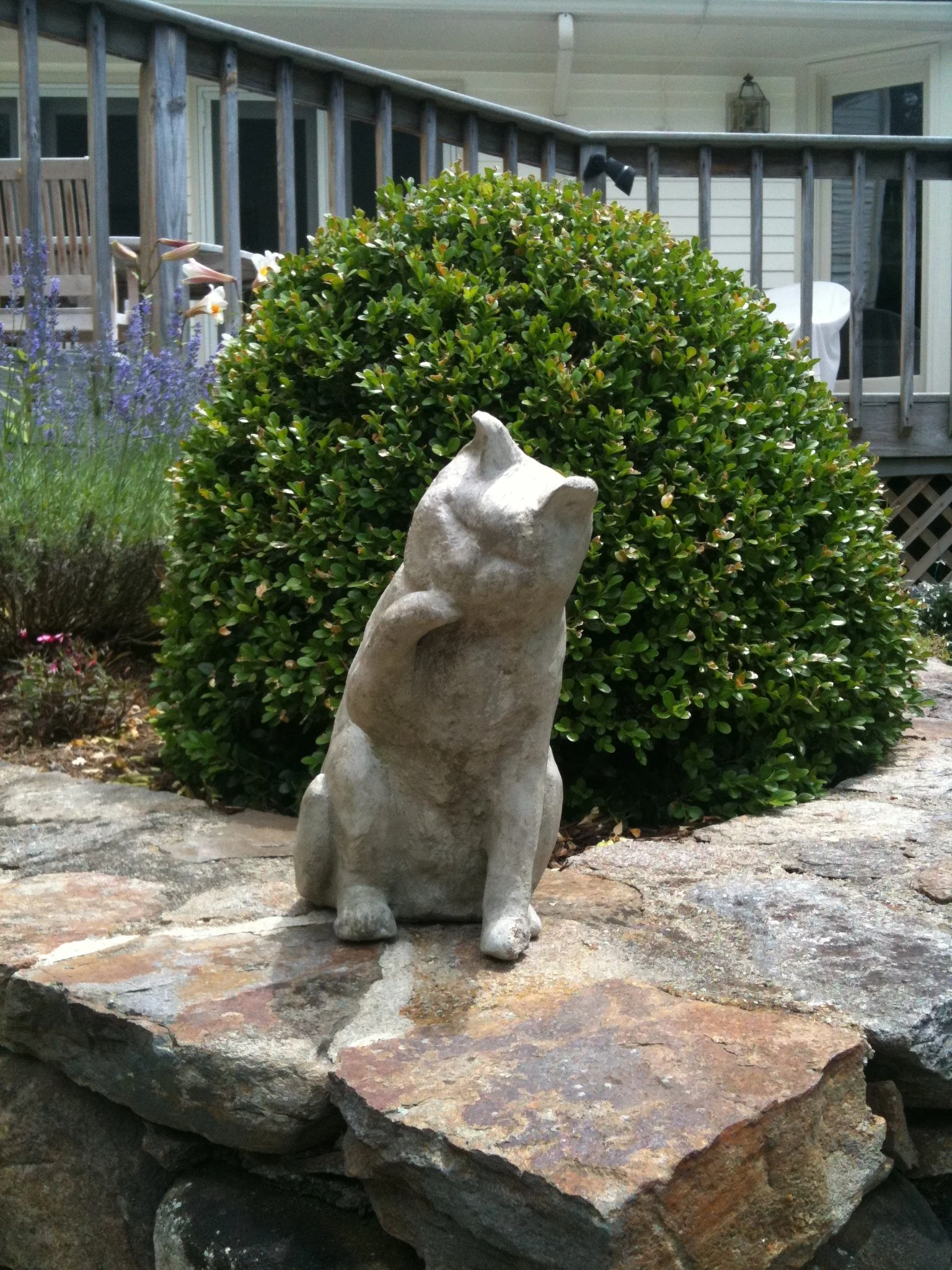 Horticultural Services in Middleborough, MA: A Guide to Reading What Your Plants Are Telling You