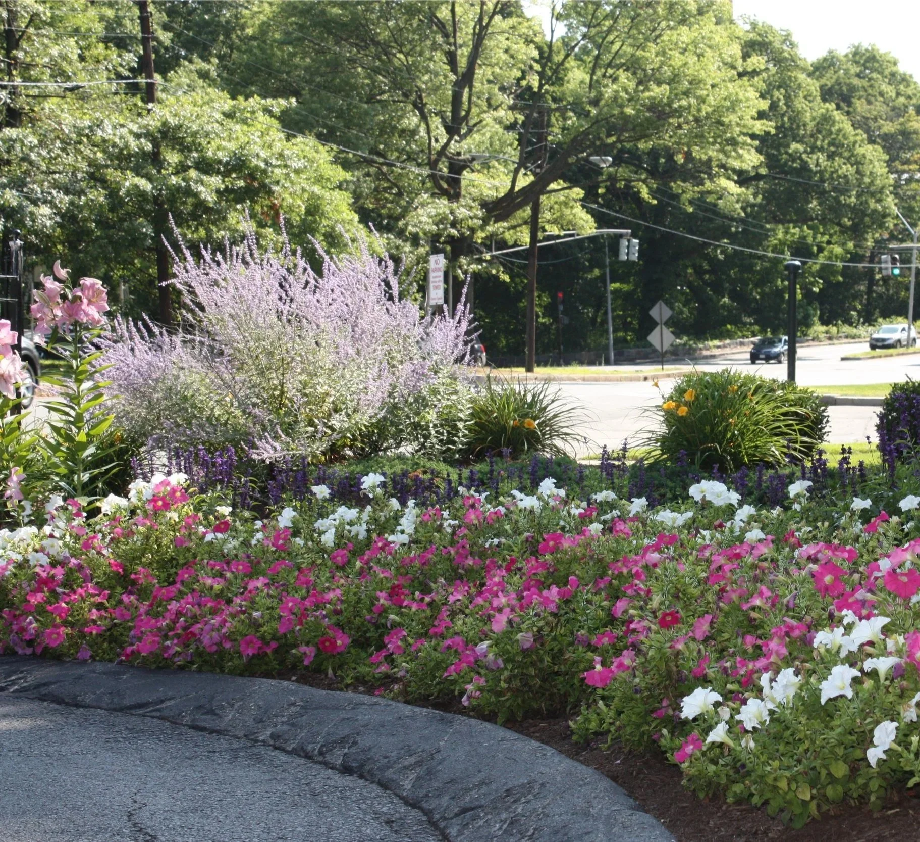 Commercial landscaping near me in Middleborough, MA