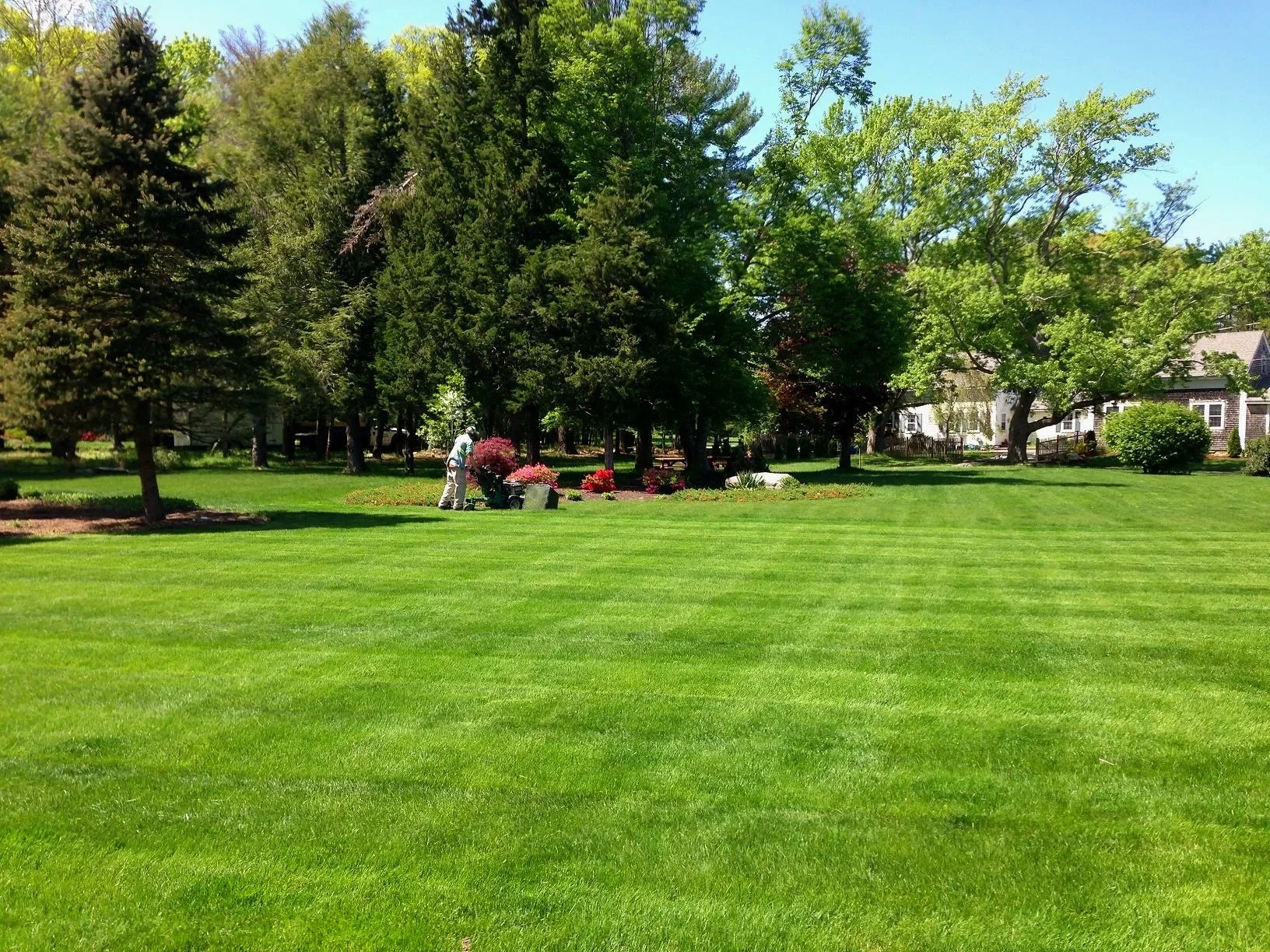 Mowed, green lawn with Greener Horizon landscaper