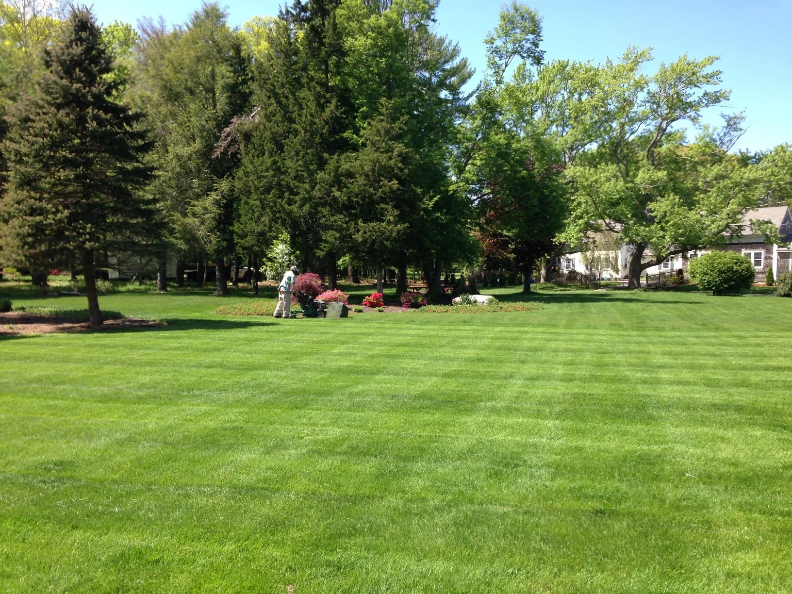 Lawn fertilization and overseeding in Kingston, MA