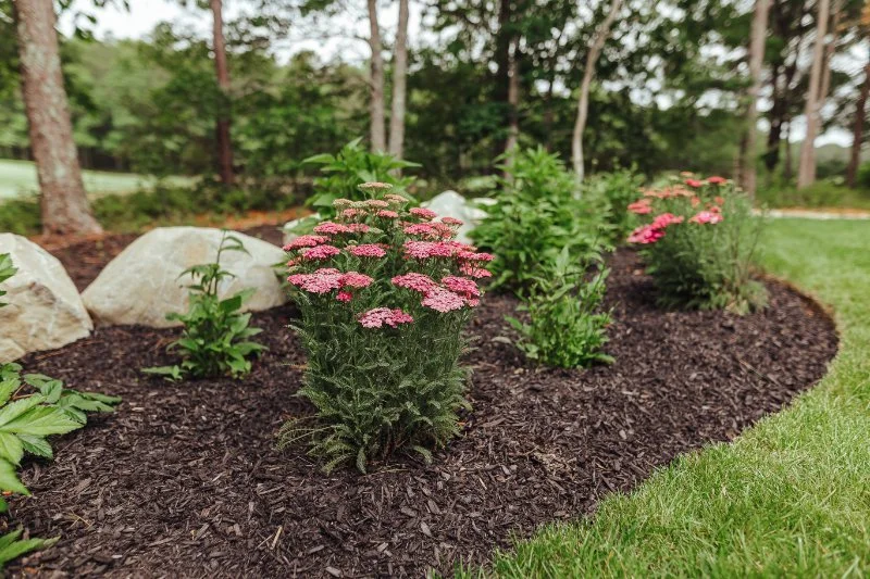 Accent boulders and plantings complete the outdoor space