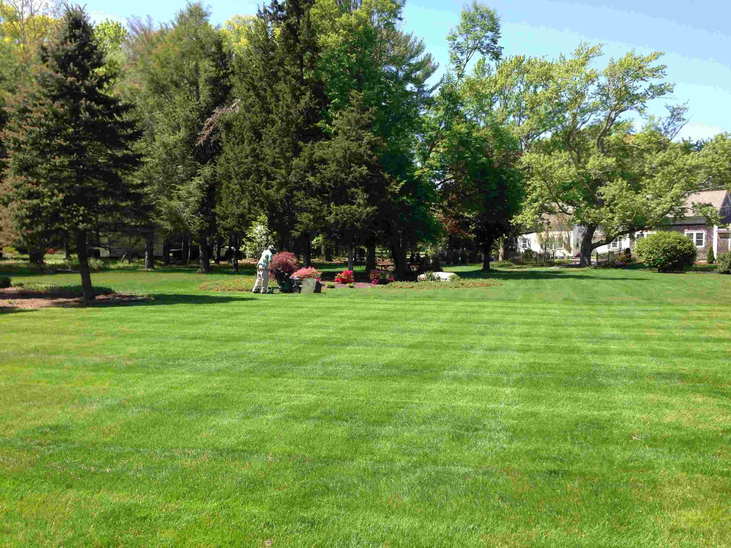lawn fertilization services in Bridgewater, MA