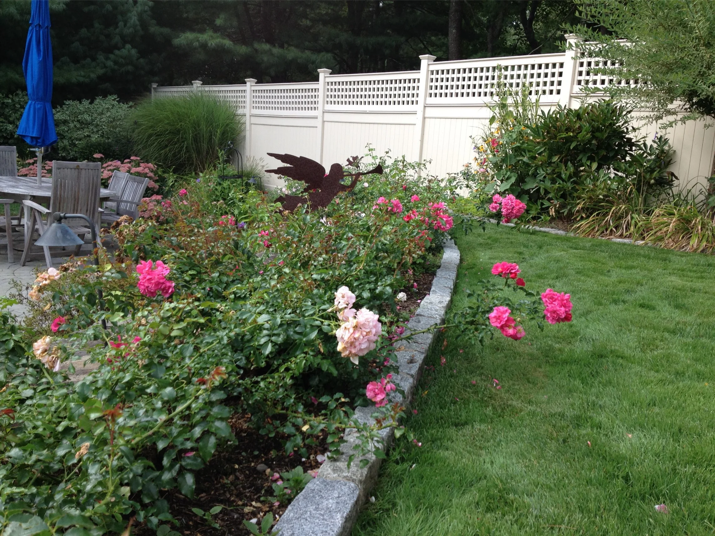 A backyard garden with a white privacy fence, blooming pink roses, green lawn, patio with tables and chairs, and decorative metal bird silhouette.