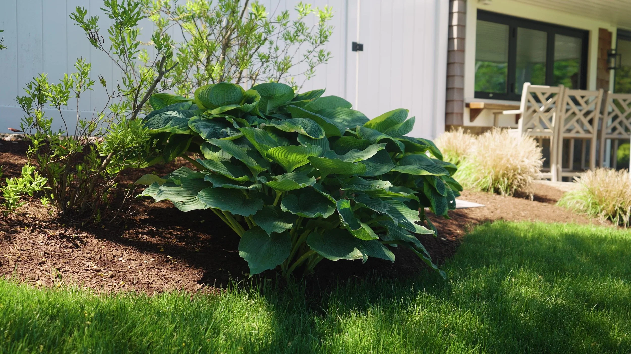 Plantings