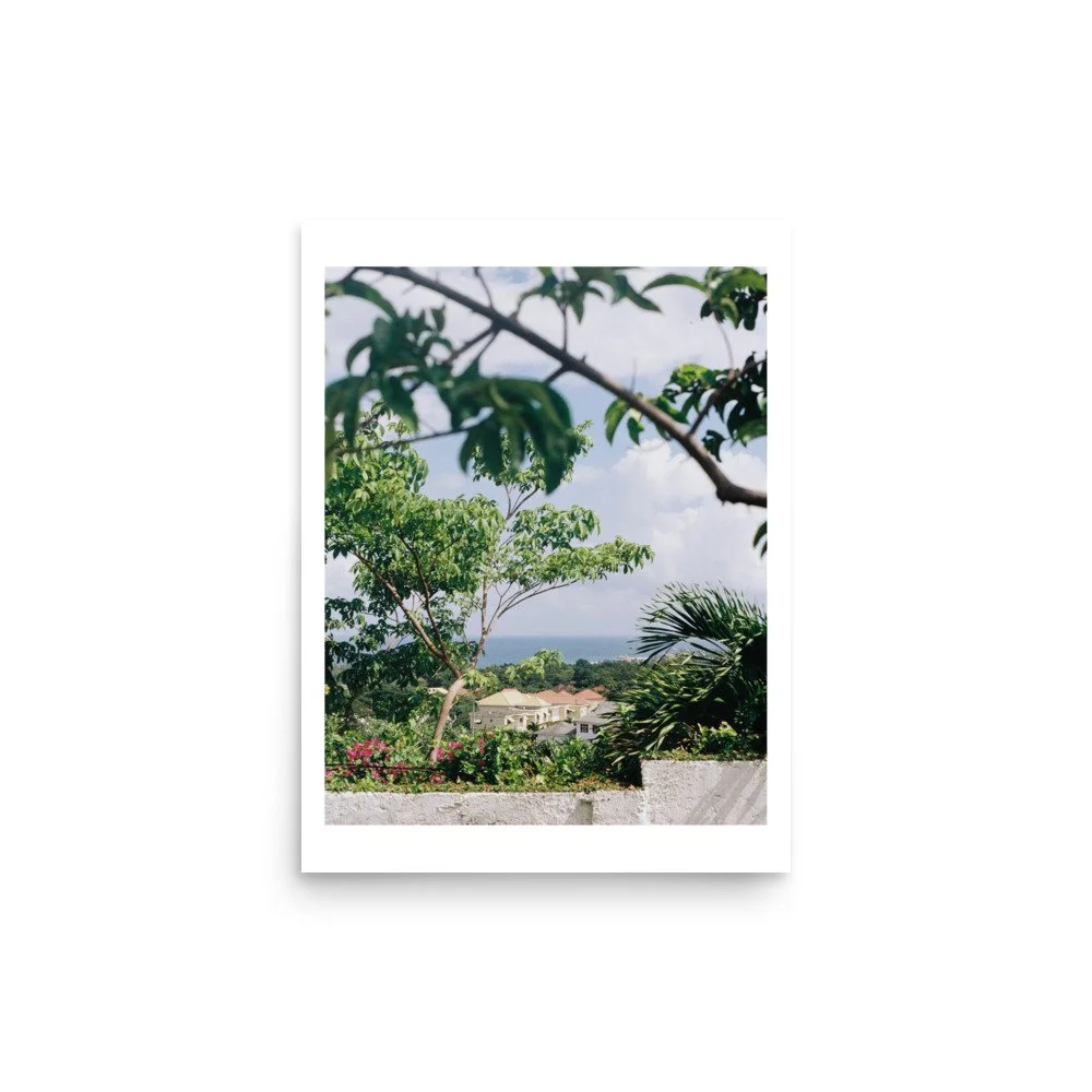 enhanced-matte-paper-poster-(in)-12x16-front-69a4607e8a403.jpg