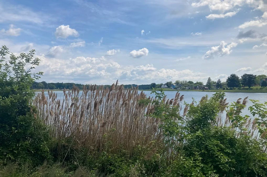 A lakeside view of Lake Montabello with tall reeds in the foreground, calm water, and a partly cloudy sky with scattered clouds.